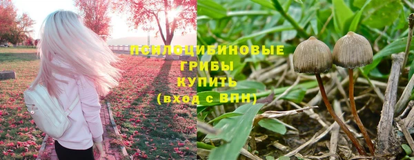 метадон Краснослободск