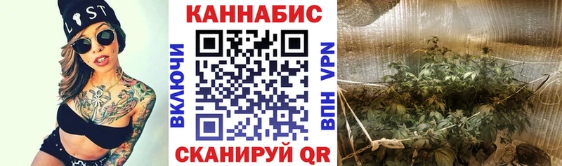 сколько стоит  KRAKEN ТОР  Бошки Шишки гибрид  Шагонар 
